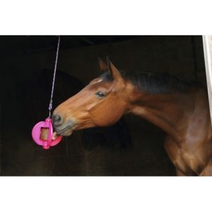 Bizzy Horse Bizzy Ball