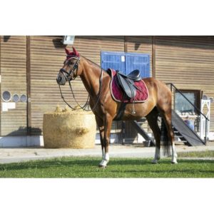 Bonnet chasse-mouches EQUITHÈME Polyfun