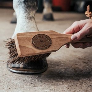 Brosse à sabots Borstiq Islandaise