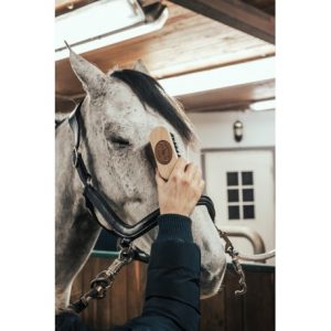Brosse de tête Borstiq