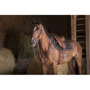 Collier de chasse ERIC THOMAS HYBRID