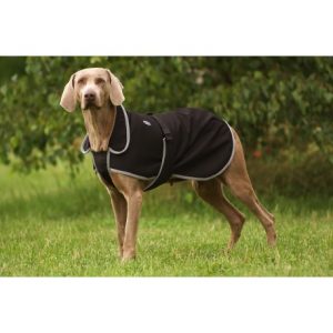 Couverture DIEGO & LOUNA « Soft Shell »