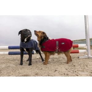 Couverture polaire DIEGO & LOUNA Teddy