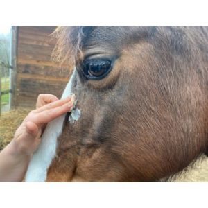 Crème Animaderm Derfen Clear