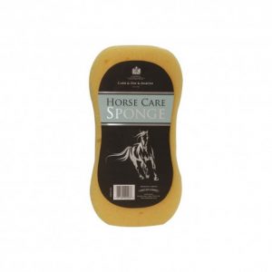 Eponge ergonomique Carr & Day & Martin
