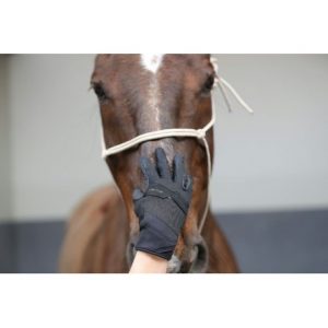 Gants d’entrainement RACER Evolution
