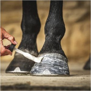 Huile pour Sabots Carr & Day & Martin Daily Hoof Moisturiser Cornucrescine