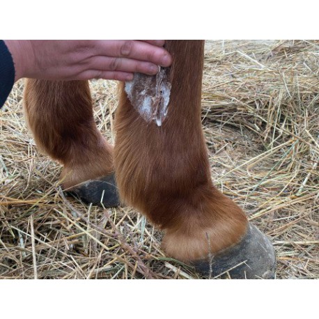 Lotion Animaderm Derfongen – Image 2