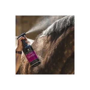 Lotion crinière et queue Canter Carr & Day & Martin