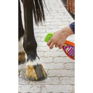 Nettoyant EQUINATURA – Pelage express