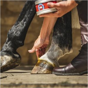 Pommade pour sabots CARR & DAY & MARTIN – Cornucrescine
