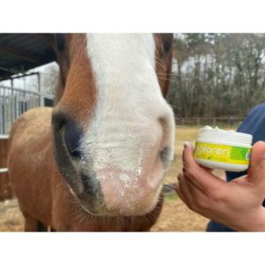 Protection Solaire Animaderm Solaren