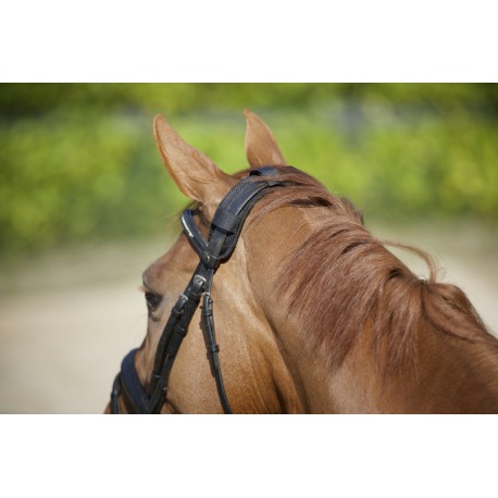 Protège-nuque BACK ON TRACK