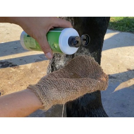 Shampoing Animaderm Tea Tree – Image 2