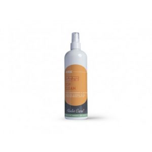 Spray assainissant ALODIS CARE Top Clean