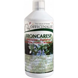 Aliment complémentaire OFFICINALIS Broncaresp Eucalyptus