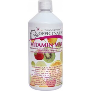 Aliment complémentaire OFFICINALIS Vitaminéral Max