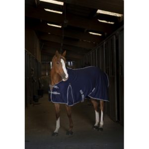 Chemise EQUITHÈME « Sweat »