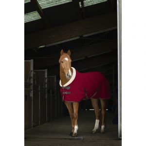 Chemise polaire EQUITHÈME Teddy