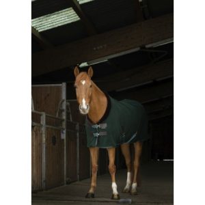 Chemise polaire EQUITHÈME Teddy