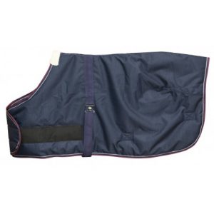 Couverture EQUITHÈME TYREX 1200 D Foal