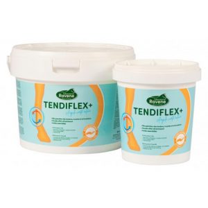 Argile RAVENE Tendiflex +