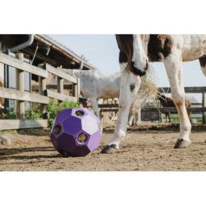 Balle anti-glouton HIPPOTONIC pour foin