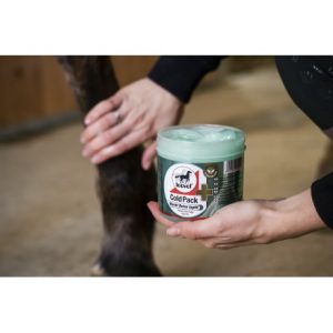 Gel Rafraichissant LEOVET