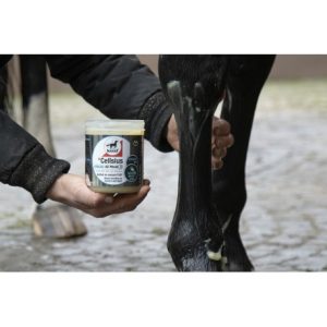 Gel refroidissant LEOVET Cellsius