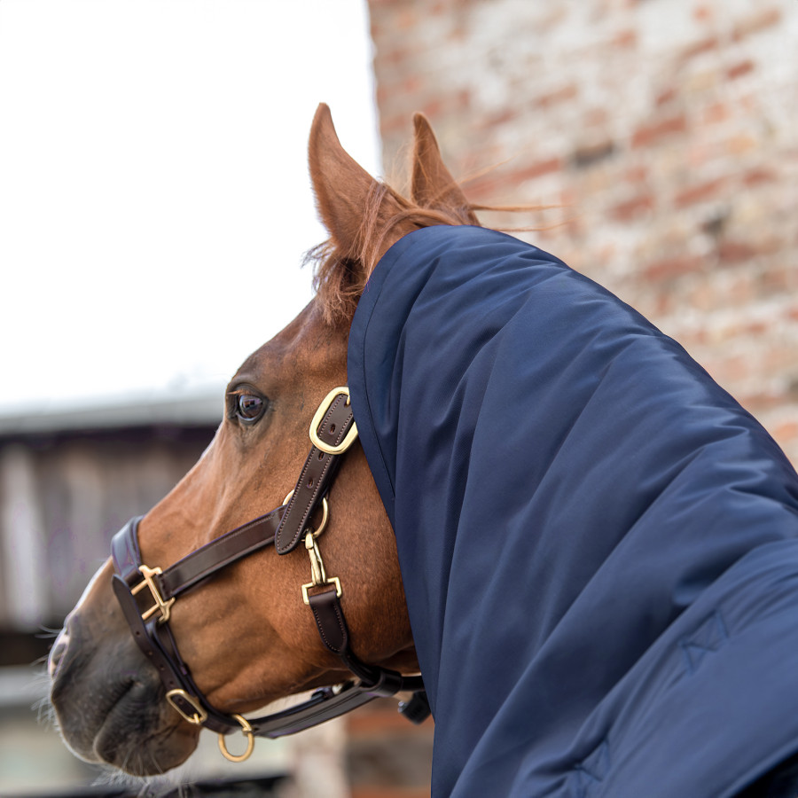 Couvre-encolure pour couverture d'écurie pour cheval Thermoactive Zoom 100-350 – Image 5