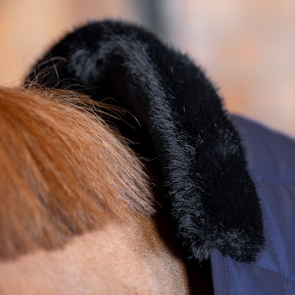Winderen couverture d'écurie pour cheval Thermoactive Zoom 50-200 – Image 5