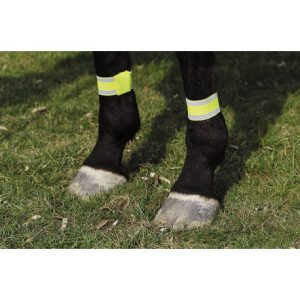 Bandages jaune NORTON