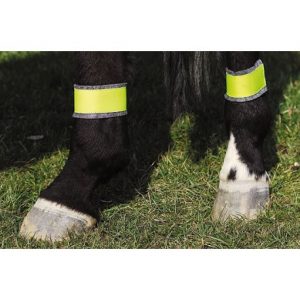 Bandages jaune NORTON pour postérieurs