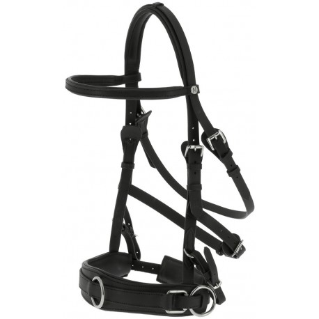 Caveçon large NORTON – Image 3