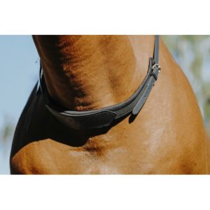 Collier d’encolure NORTON