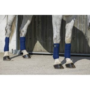 Bandes de polo RIDING WORLD Eco