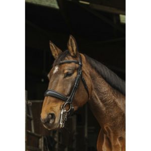 Bride NORTON PRO – Basal
