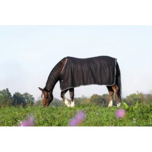 Chemise polaire RIDING WORLD