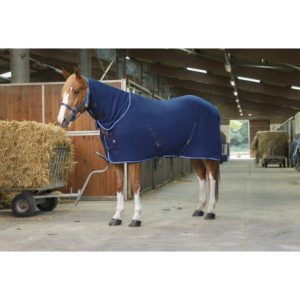 Chemise polaire RIDING WORLD Combo