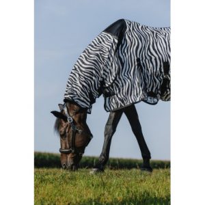 Chemise RIDING WORLD – Belly Mesh – Combo