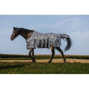 Chemise RIDING WORLD – Belly Mesh