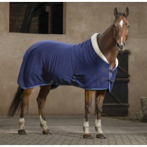 Chemise RIDING WORLD Confort