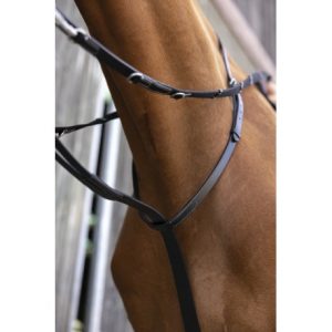 Enrênement NORTON PRO – Thiedeman