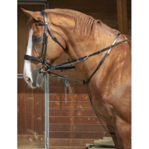 Enrênement NORTON PRO – Thiedeman