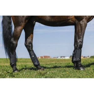 Guêtres de cross NORTON – XTR 1680D – Postérieurs