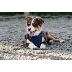 Harnais pour chien RIDING WORLD – Simba