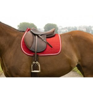 Tapis RIDING WORLD Girly