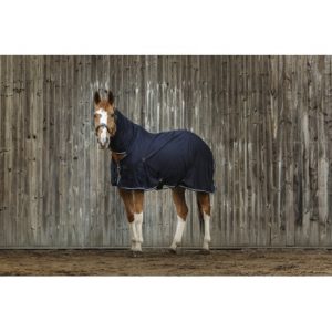 Chemise EQUITHEME Micro mesh combo