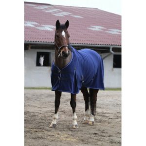 Chemise polaire EQUITHÈME Classic