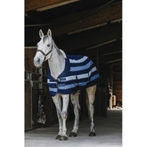 Chemise polaire EQUITHÈME – Confortech